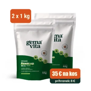 Vegan - Beljakovinski obrok, 2 x 1 kg – Paket