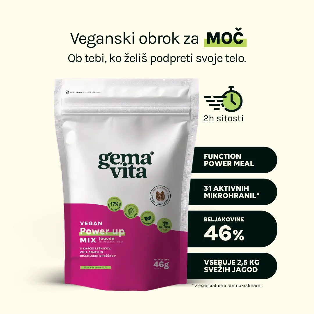 Vegan Jagoda - Beljakovinski obrok, 1 kg - slika 2