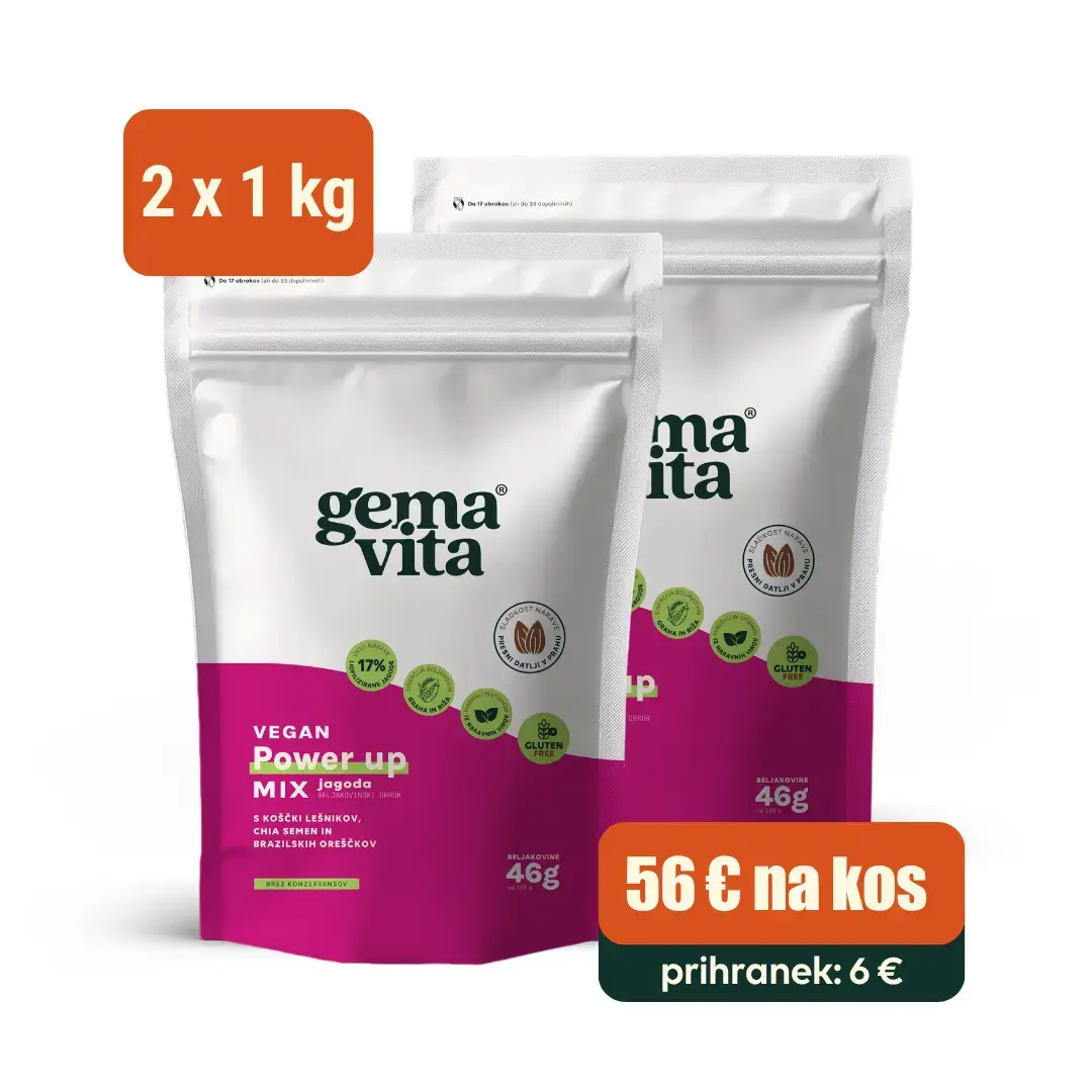 Vegan Jagoda - Beljakovinski obrok, 2 x 1 kg – Paket